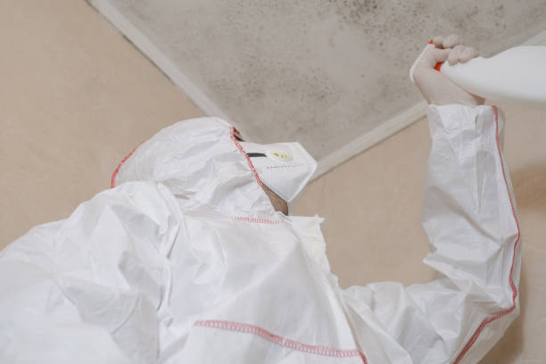 Best Residential Mold Removal  in Riverdale, GA