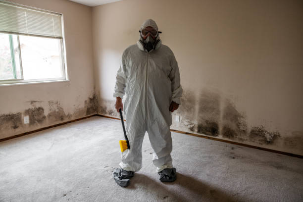 Best Certified Mold Removal  in Riverdale, GA